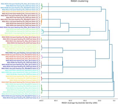 Functional and Phylogenetic Characterization of Bacteria in Bovine Rumen Using Fractionation of Ruminal Fluid